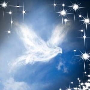 Meet your Posher, Jacinta